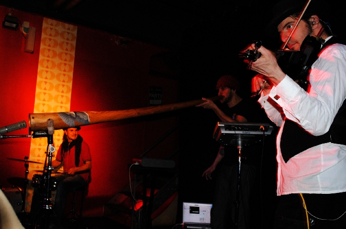 AnalogueBirds 0411 (56)